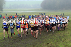 Senior womens 2022 North Eastern Harrier League, Thornley Farm, Peterlee, County Durham. Photo: David T. Hewitson/Sports for All Pics